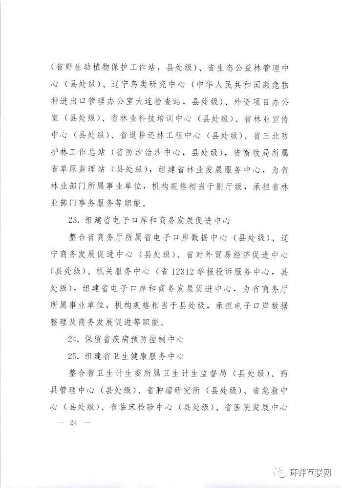 洛南县康复事业单位发展规划展望