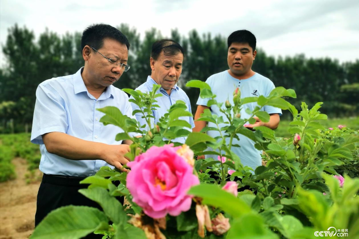 阜城县人力资源和社会保障局人事任命重塑未来，激发新动能活力