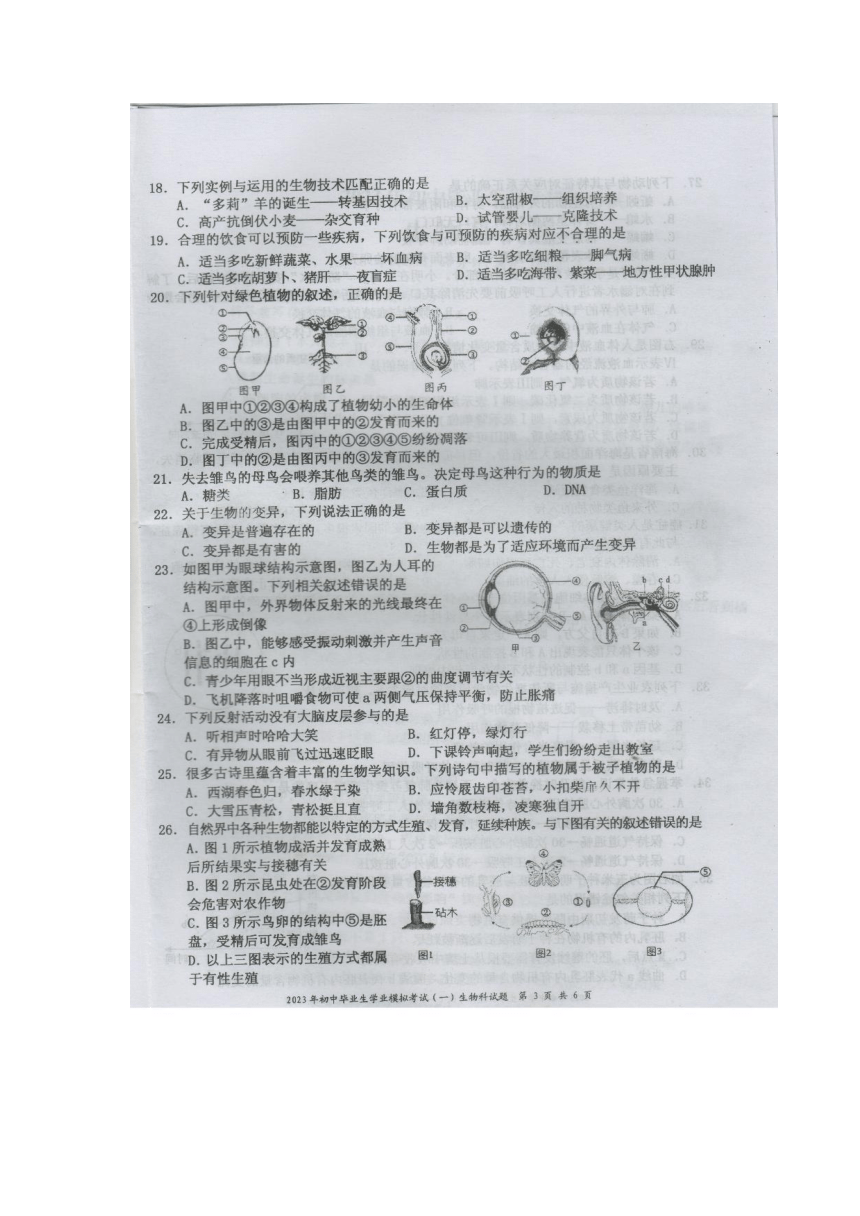 省直辖县级行政单位市企业调查队人事任命分析与探讨