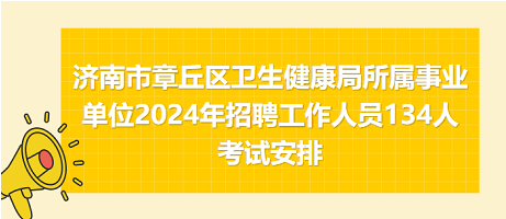 2024年12月31日 第20页