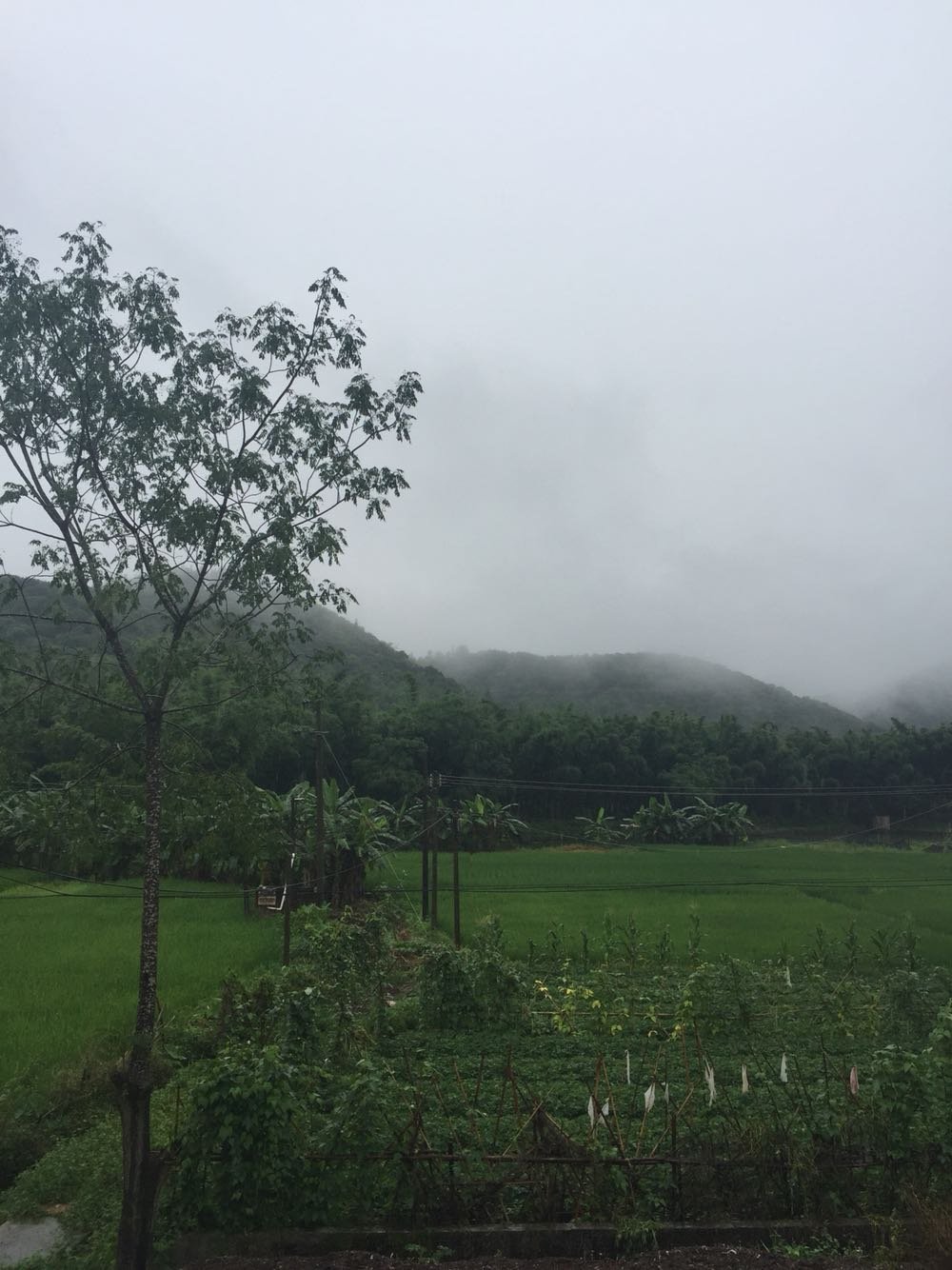 黑它村今日天气预报