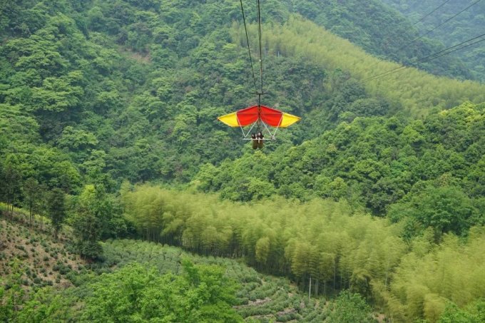 汀溪防护林场绿色生态建设新篇章揭晓最新新闻