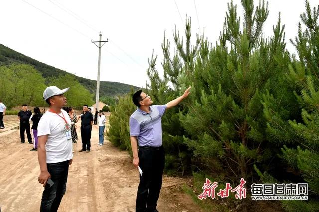 东华池林场绿色发展新探索，实践项目引领未来