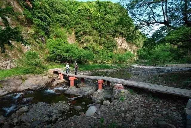 汀溪防护林场新项目启动，绿色生态保护的先锋行动