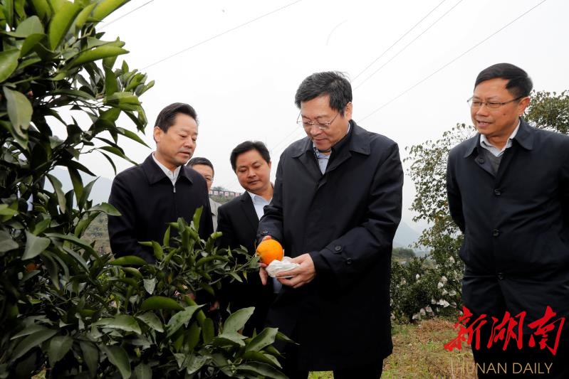 茶村新领导引领繁荣时代开启