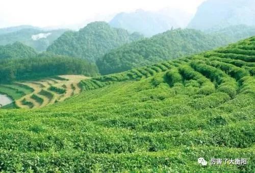 塔山瑶族乡新项目，地区发展的强大驱动力