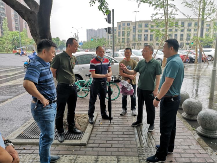 茶店子街道新项目重塑城市形象，引领社区发展新篇章