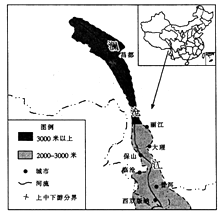 日多乡未来蓝图，最新发展规划引领乡村新面貌