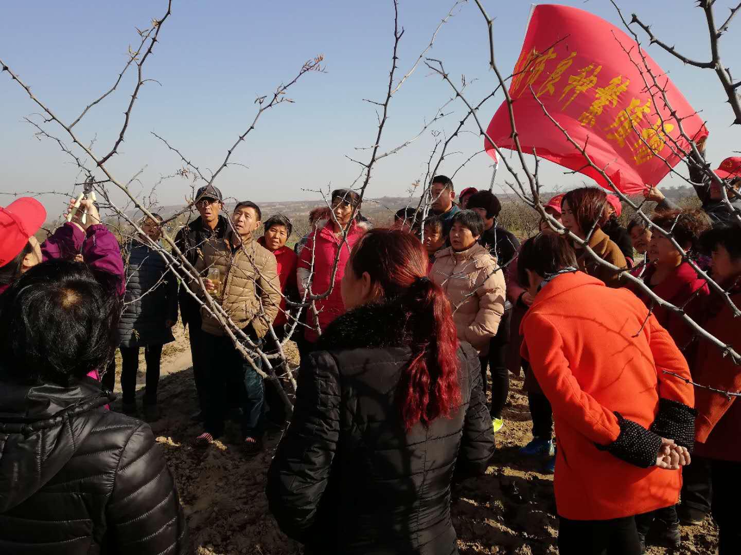 良种场最新项目，先锋引领现代农业发展之路