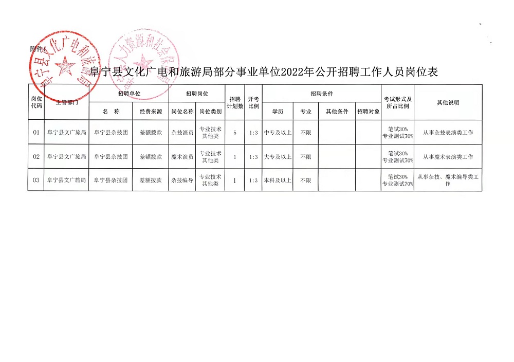 略阳县数据和政务服务局招聘启事概览