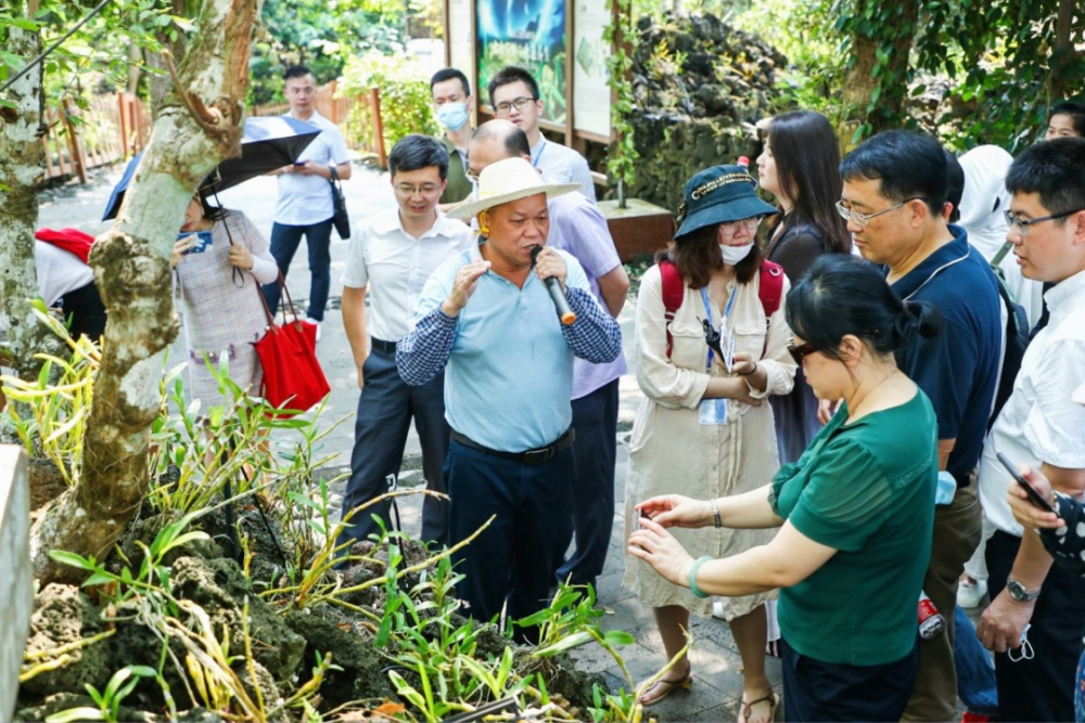 代乾村委会领导团队全新亮相，展望未来发展之路