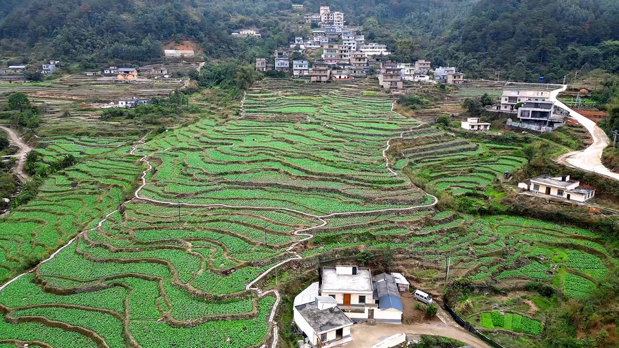 陇溪村天气预报更新通知