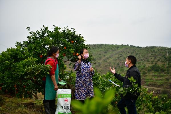 惠农区防疫检疫站最新招聘信息全面解析