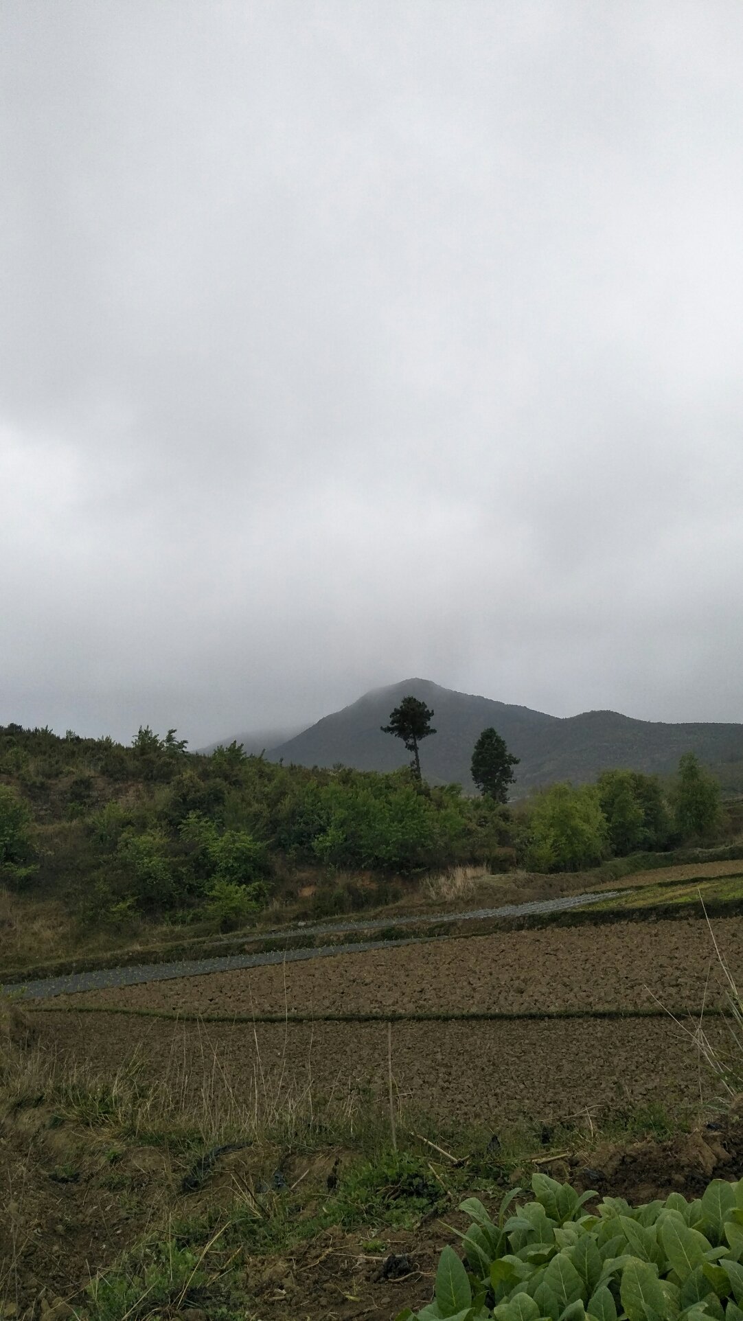 下堡寺镇天气预报更新通知