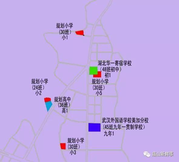 江夏区小学迈向未来教育蓝图，最新发展规划揭秘