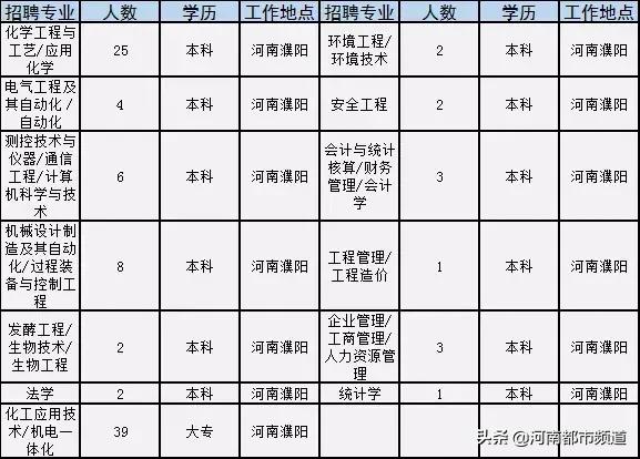 义马市小学最新招聘信息与招聘细节深度解析