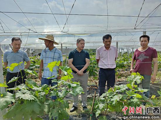 茂南区农业农村局最新发展规划概览