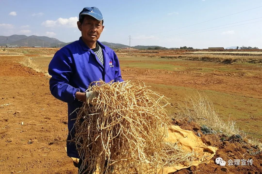 盐河村新任领导引领村庄开启崭新篇章