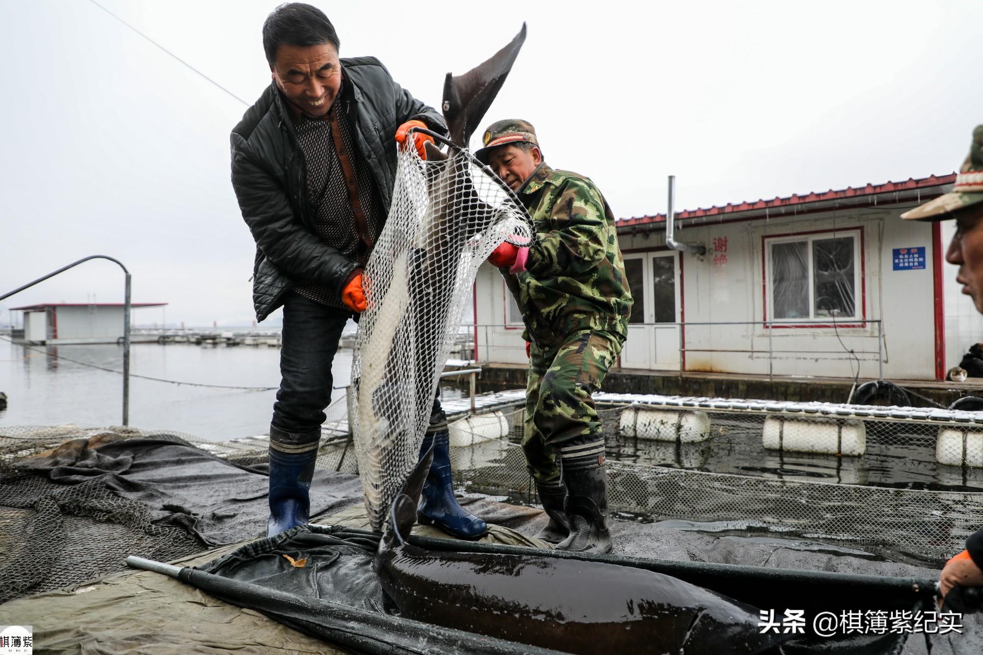 抚远县特殊教育事业单位最新动态及其深远影响